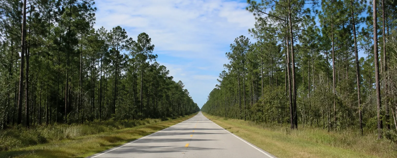 A straight two-lane highway running between tall pine flatwoods toward a distant horizon